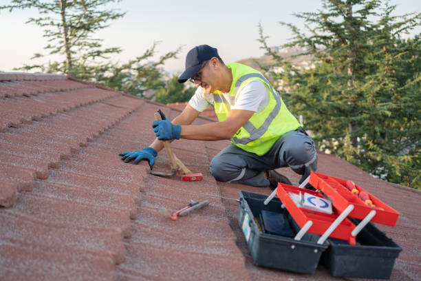 Best Roof Gutter Cleaning  in Pella, IA