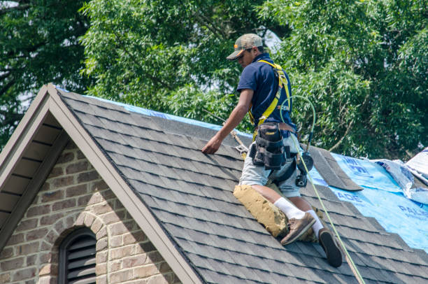 Best Metal Roofing Contractor  in Pella, IA